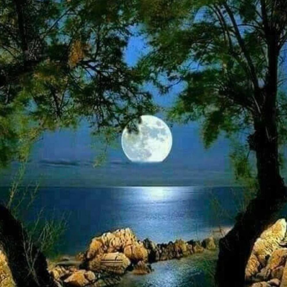 Meet your Posher, Jeanne